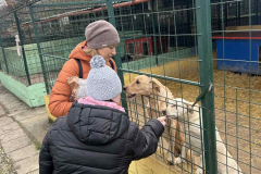 viber_image_2025-11-29_11-33-07-016