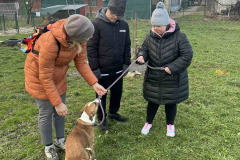 viber_image_2025-11-29_11-33-07-575