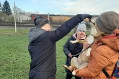 viber_image_2025-11-29_11-33-07-774