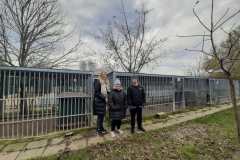 viber_image_2025-11-29_11-33-08-251