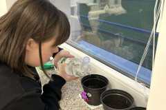 viber_image_2025-04-25_20-19-13-971